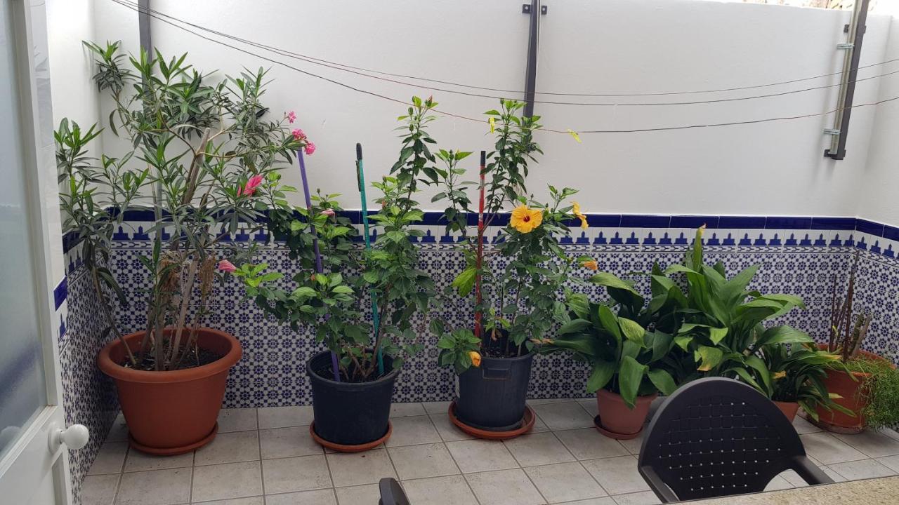 Apartamento Callejuela Las Flores Альгодоналес Екстер'єр фото